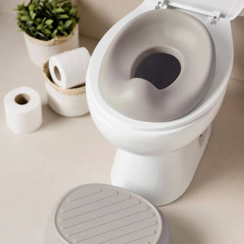 The Nattou potty seat placed on a standard toilet, demonstrating its function as a toilet seat reducer.