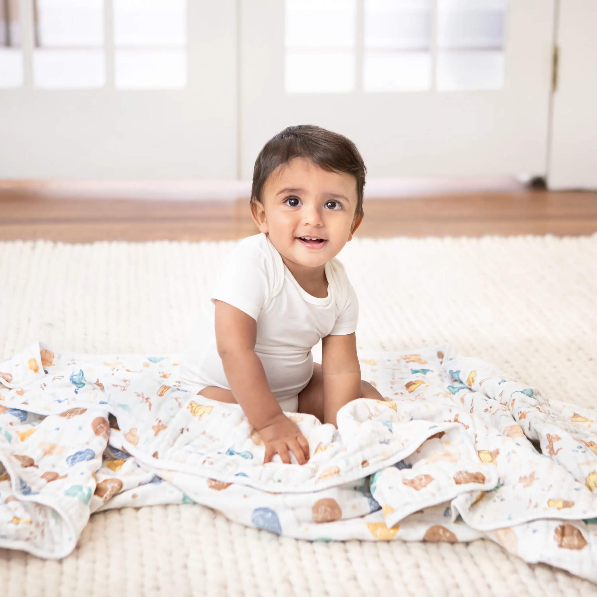 Aden and anais discount mickey dream blanket