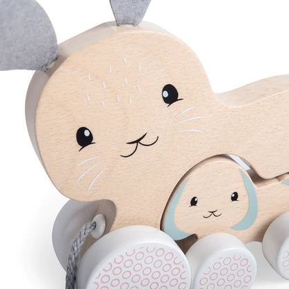 Bigjigs Simply Scandi Pull Along Bunny & Baby